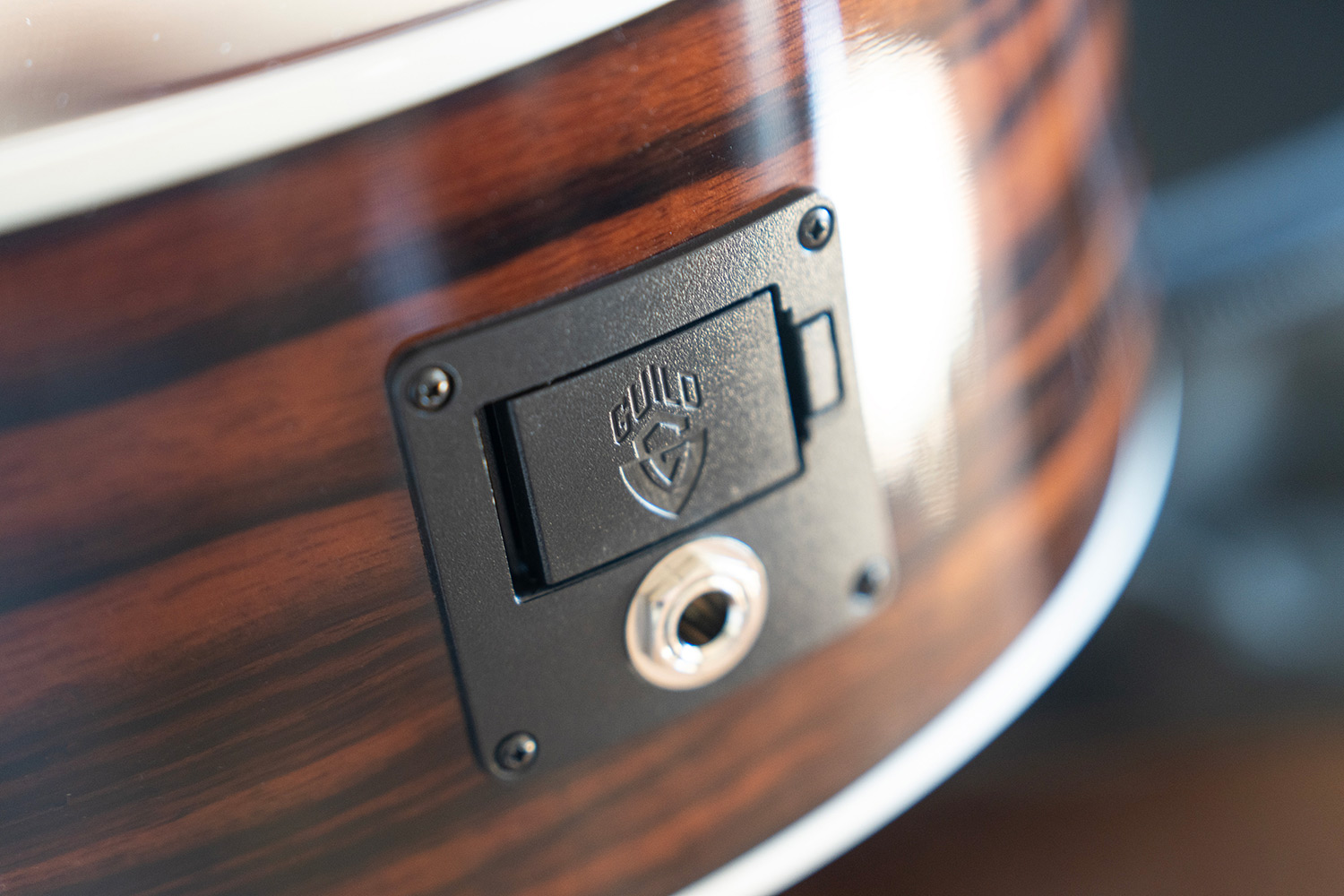 Close-up M-260E Deluxe Edge Burst electronics