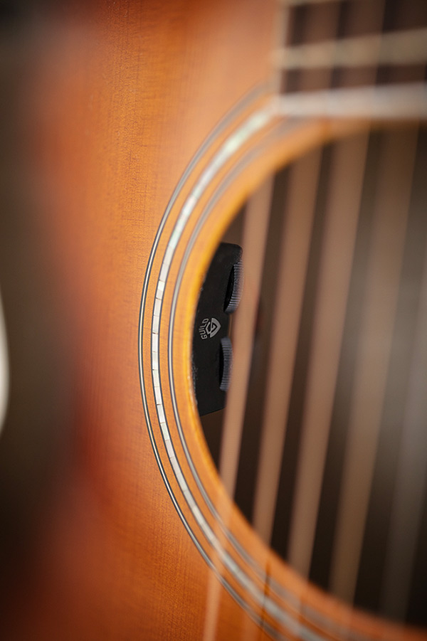 Close-up F-250CE Deluxe Archback Antique Burst rosette