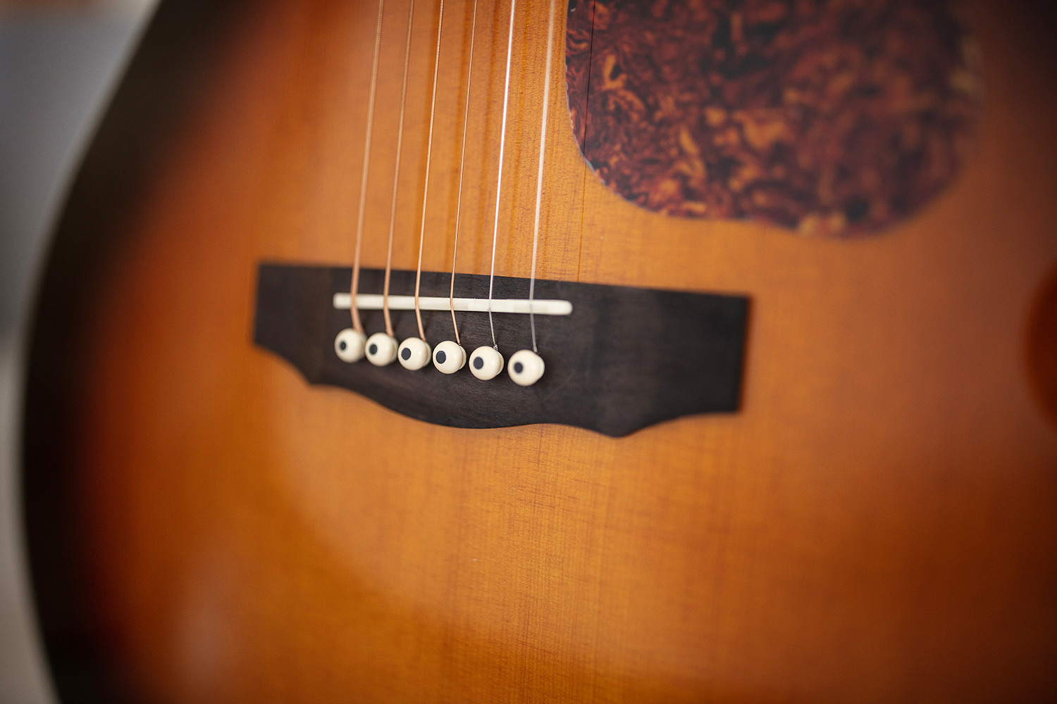 Close-up F-250CE Deluxe Archback Antique Burst bridge