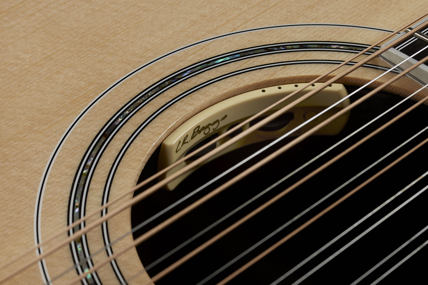 Close-up of F-512E Natural electronic L.R. Bagg pickup.