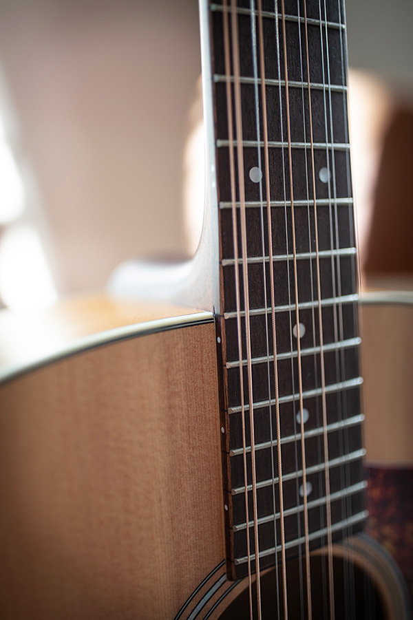 Close-up F-2512E Maple neck