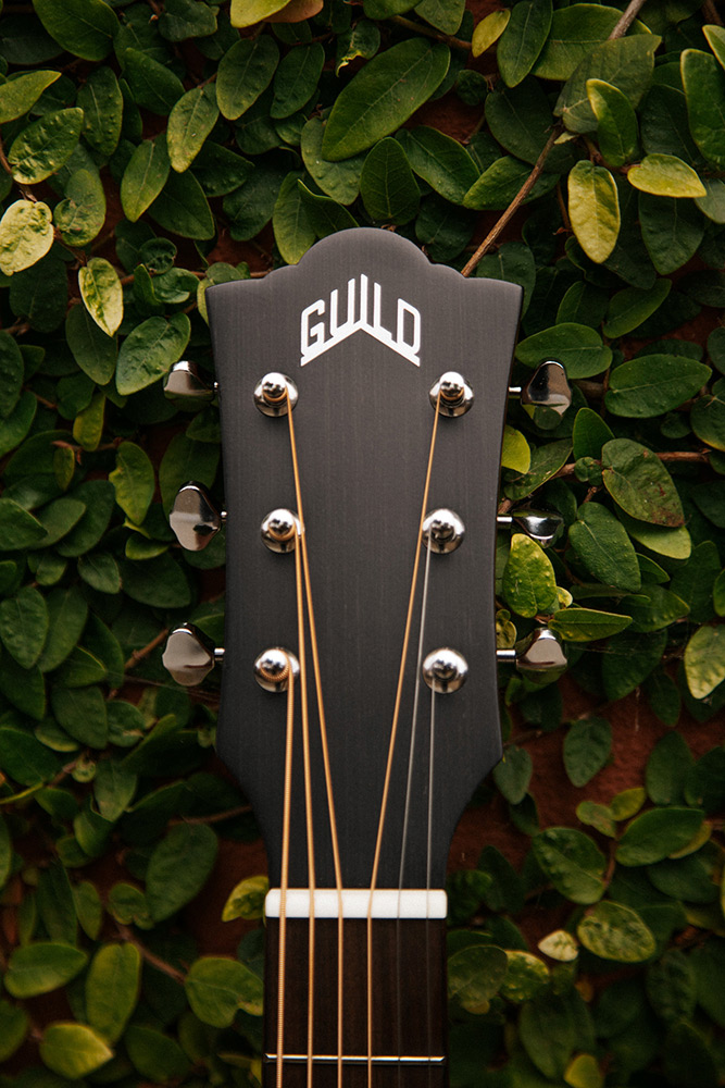 Close-up of Jumbo Junior Mahogany headstock with Guild logo in front of vines