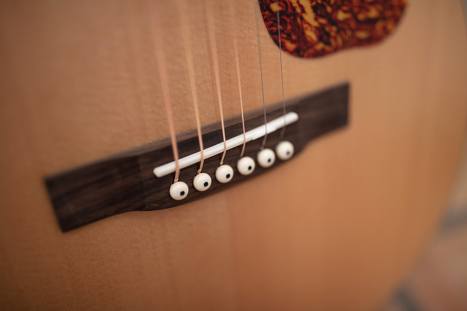 Close-up of OM-240E Natural bridge