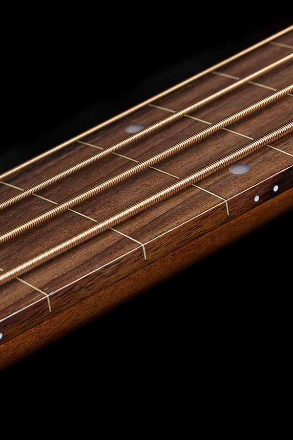 Close up of B-240E Natural Fretless neck and strings
