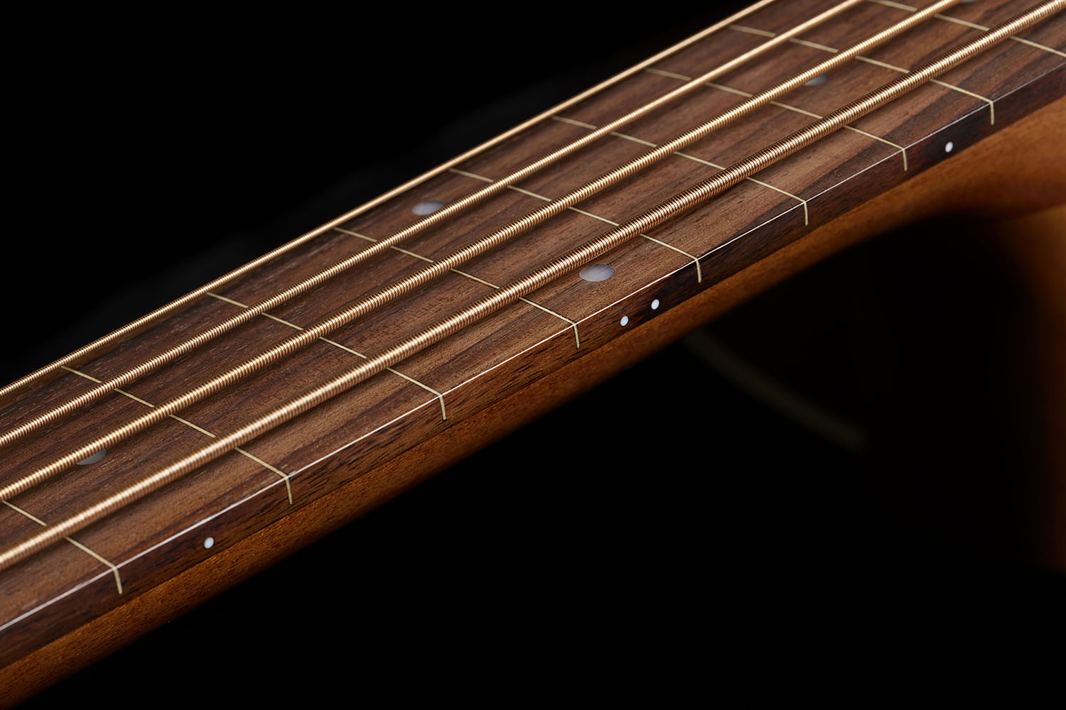 Close up of B-240E Natural Fretless neck and strings
