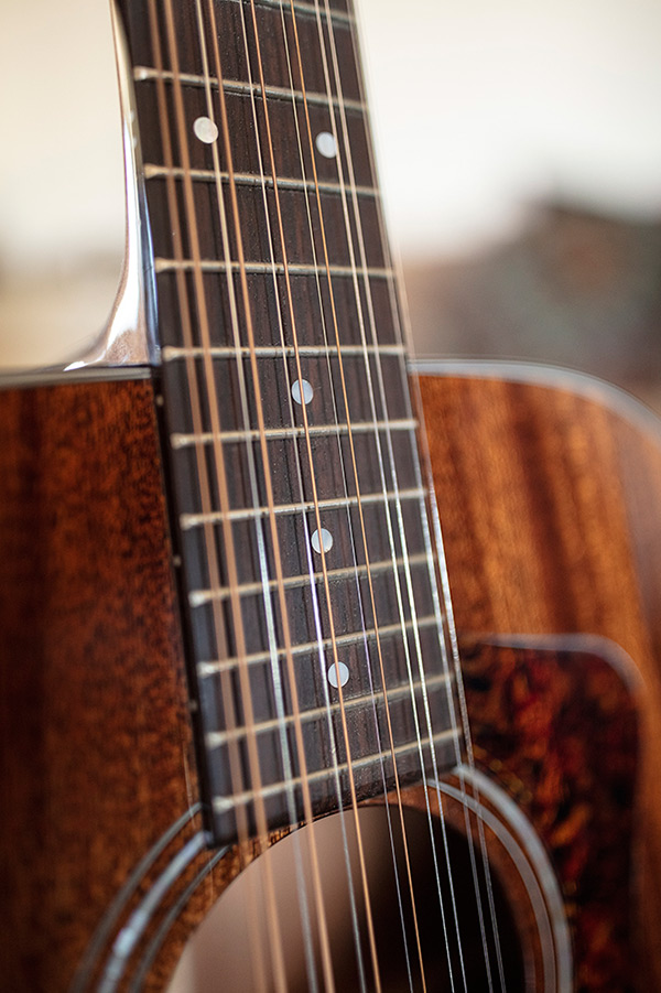 Close up of D-1212 neck and strings thumbnail