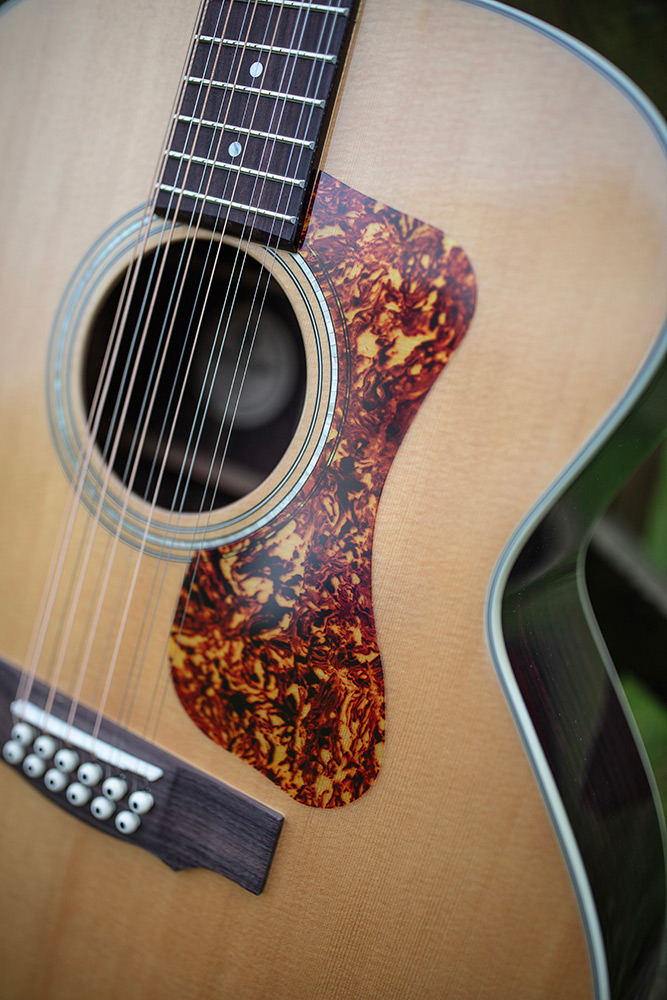 Close up of F-1512 soundhole and pickguard