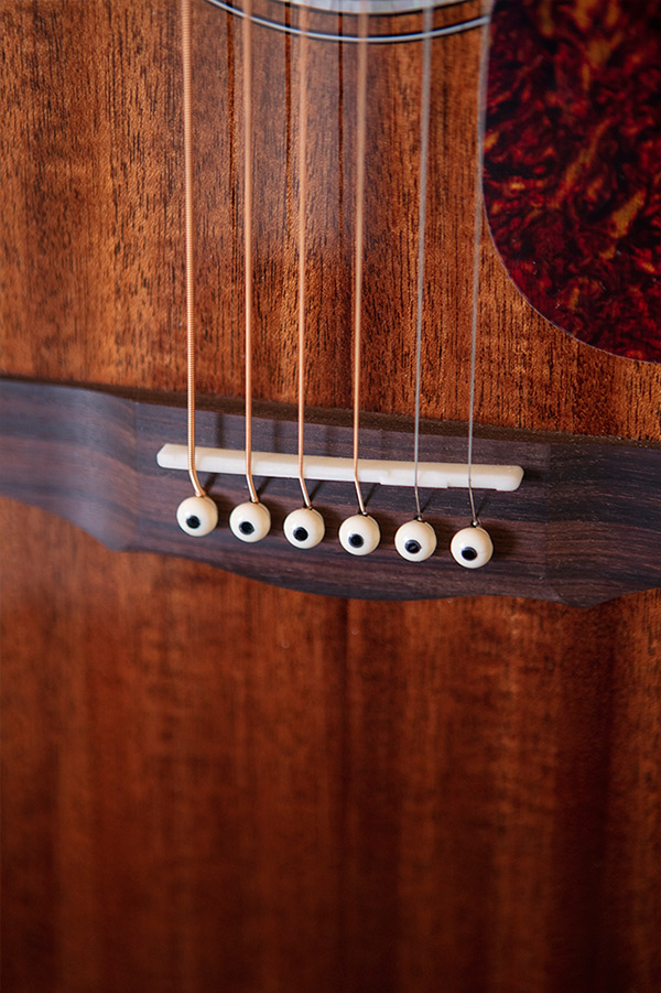 Close up of D-120 bridge thumbnail