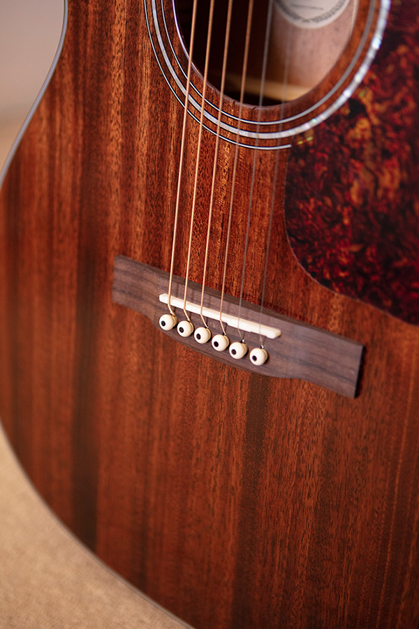 Close up of OM-120 bridge thumbnail