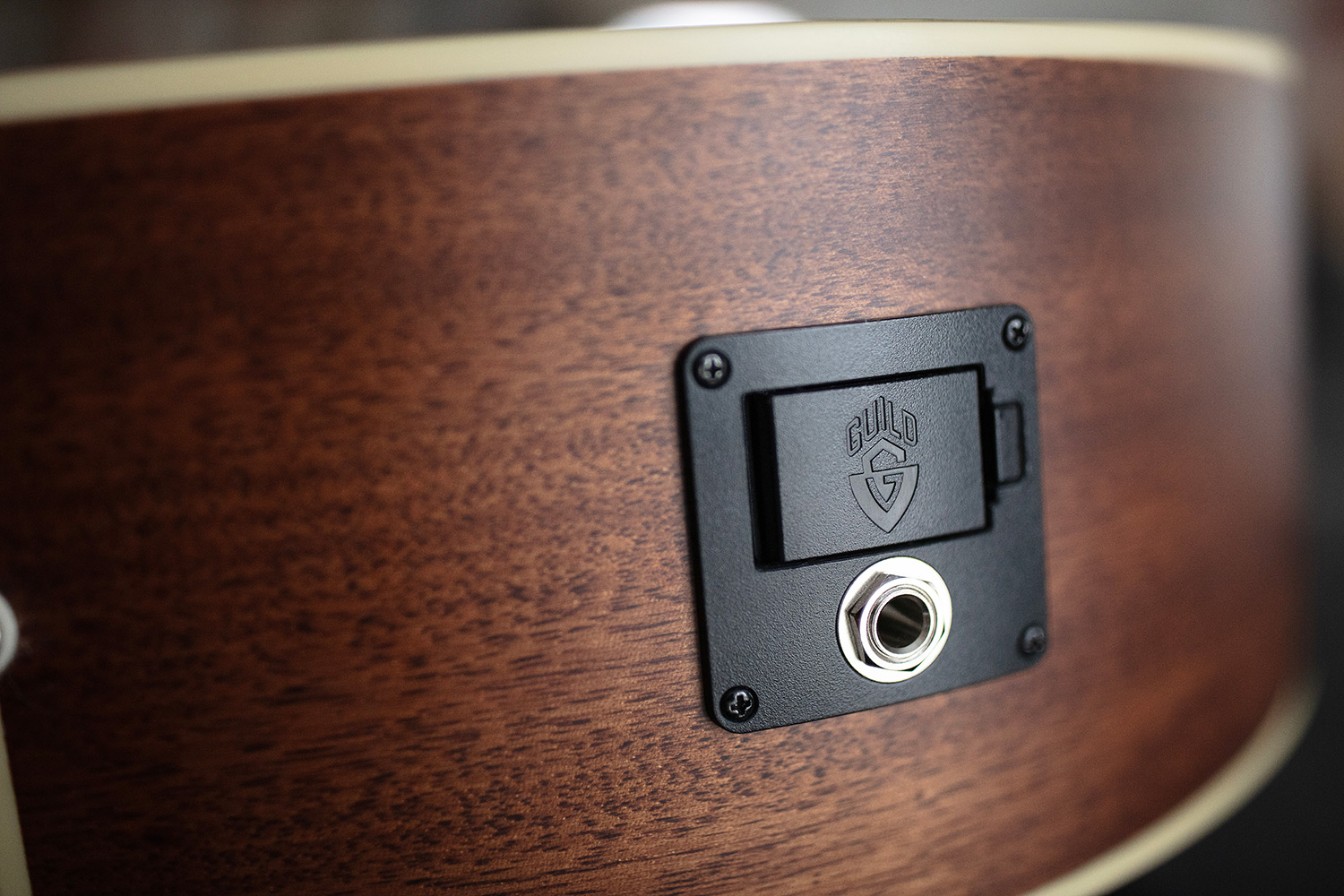 Close up of BT-240E Baritone Natural electronics