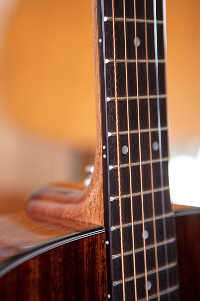 Close up of OM-120 neck and strings