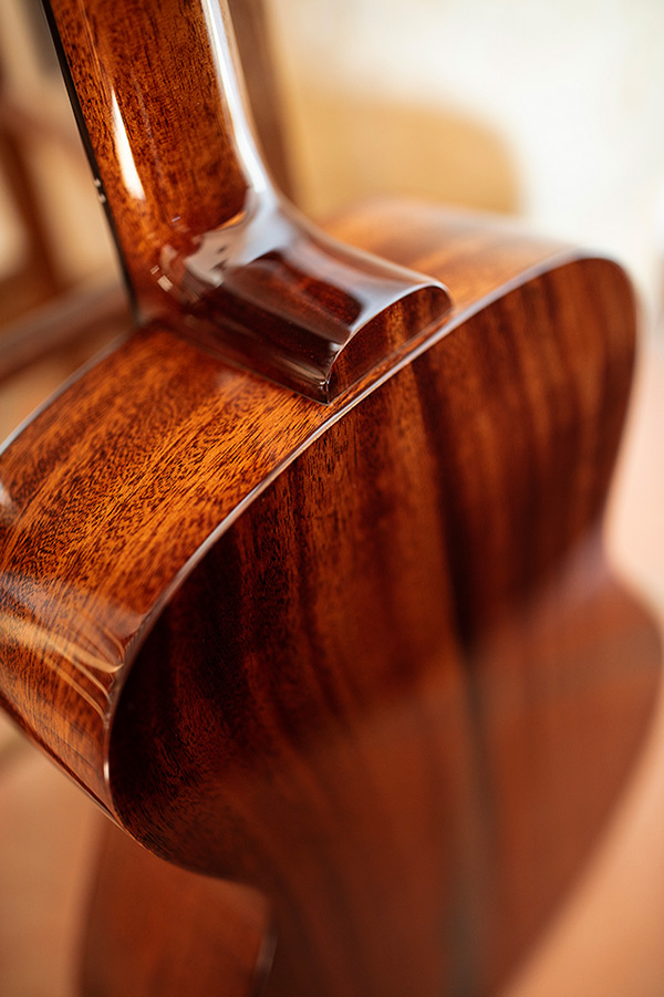 Close up M-120 body back featuring Solid African Mahogany back and sides thumbnail