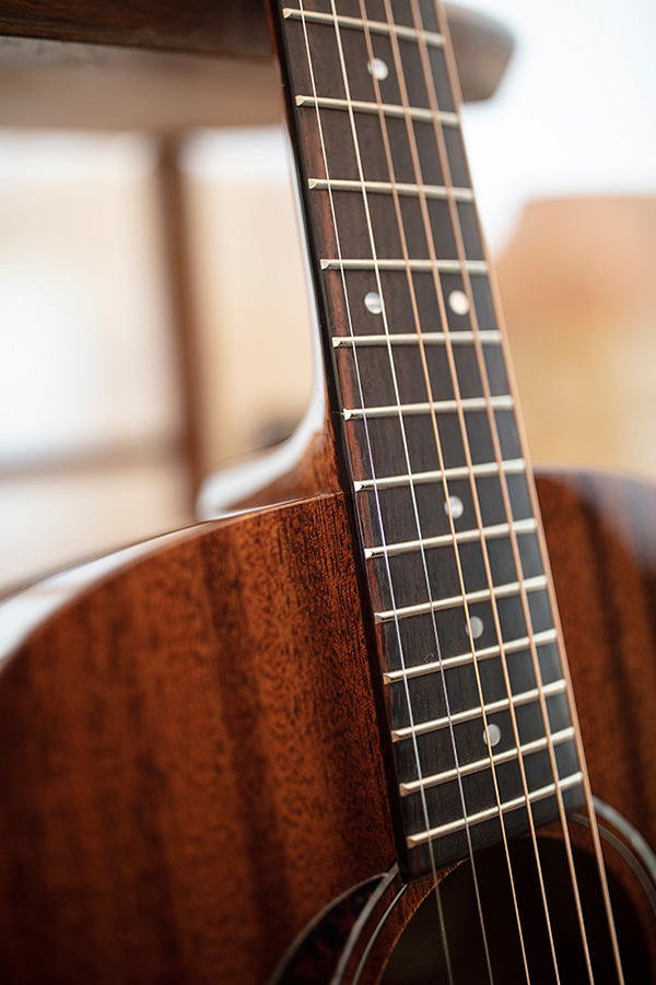 Close up M-120 neck and strings thumbnail