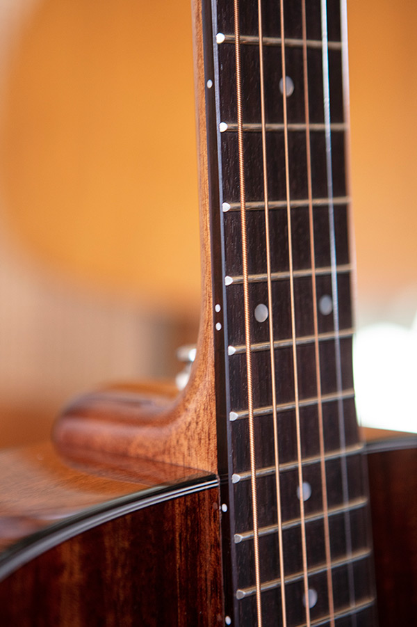 Close up of OM-120 neck and strings thumbnail