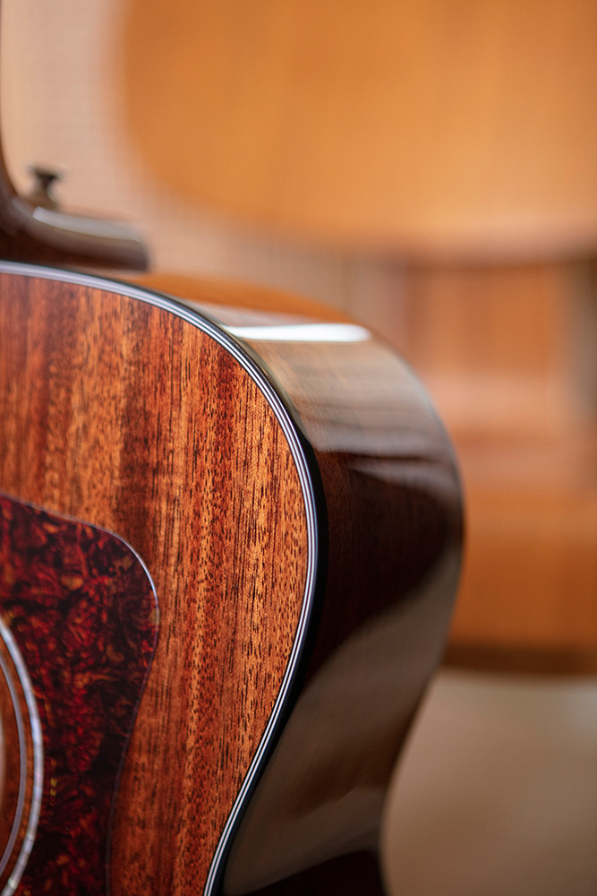 Close up of OM-120 top body curve