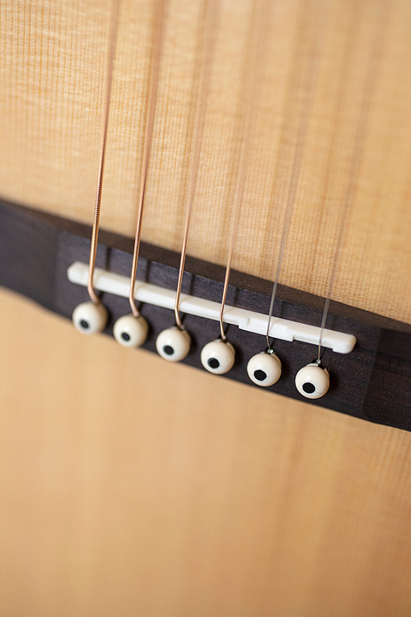 P-240 Memoir Natural close up of the bridge