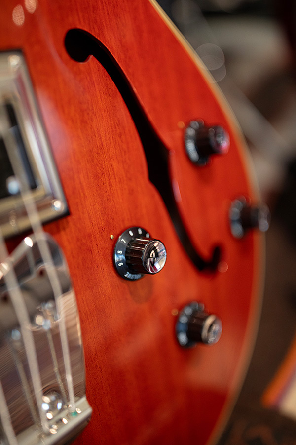 Close-up of Starfire II bass f hole and knobs