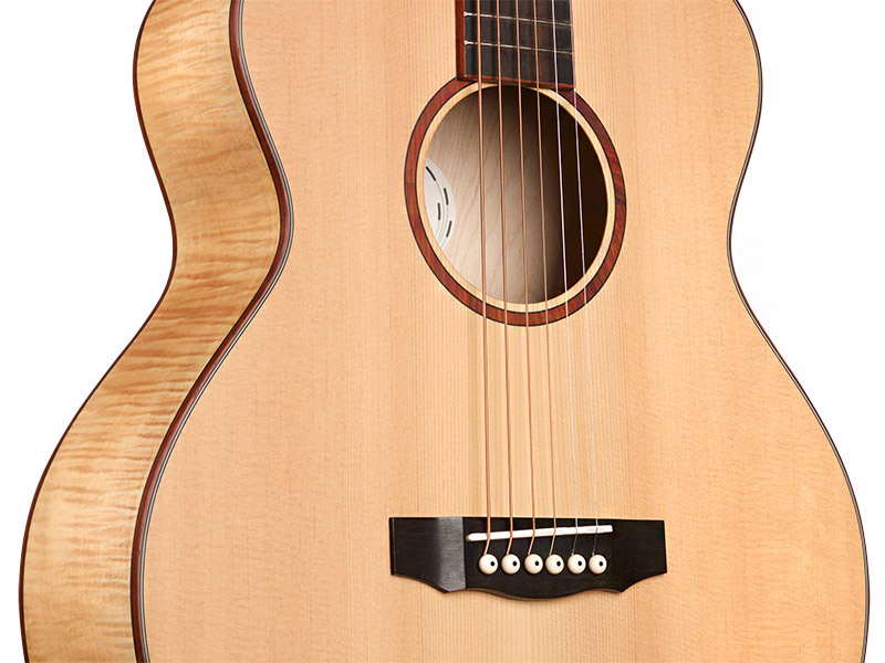 Horizontal close-up body view of JUMBO JUNIOR RESERVE MAPLE