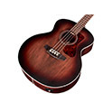 Horizontal front angle body view of B-240E ANTIQUE CHARCOAL BURST thumbnail