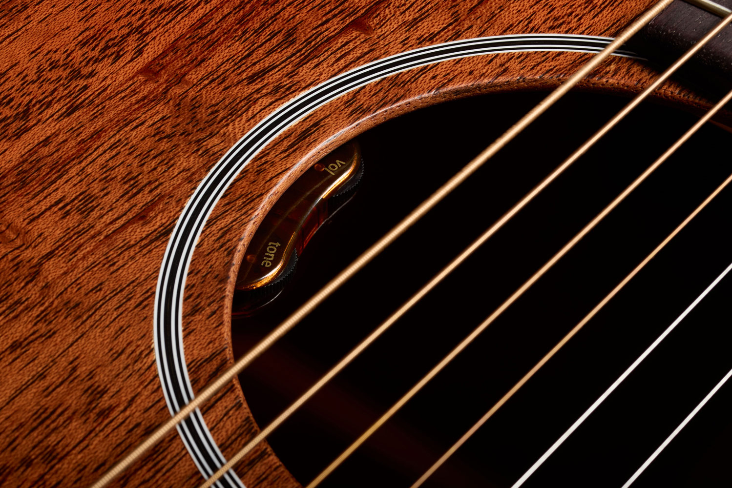 Close-up of D-20E Natural soundhole featuring L.R. Baggs Element VTC pickup system
