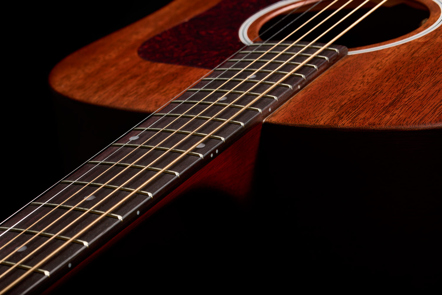 Close-up of D-20 Natural neck and strings