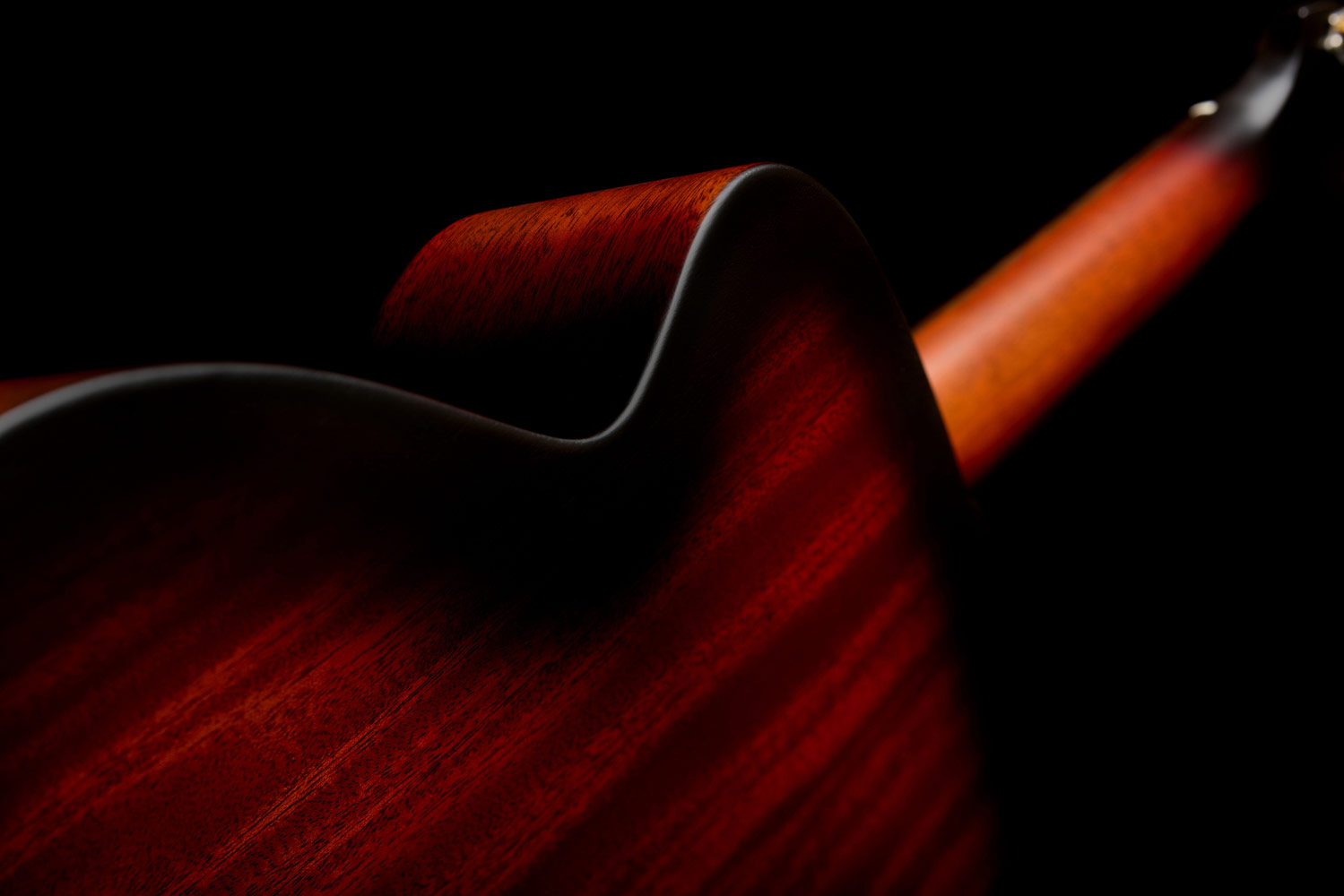 Close-up of M-20 Vintage Sunburst body back curved shoulder