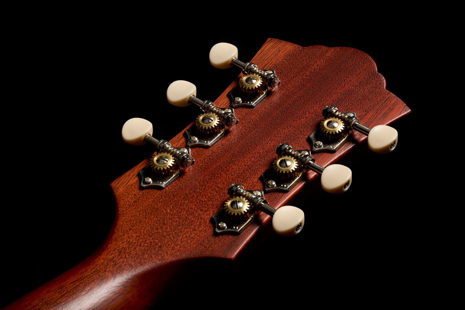 Close-up of the back of the D-20 Natural headstock