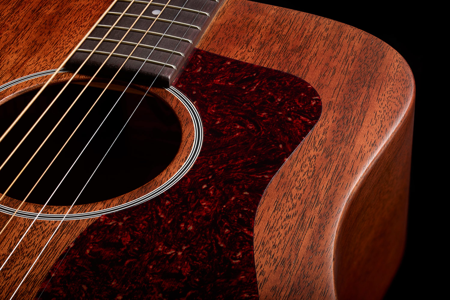 Close-up of D-20E Natural soundhole and pickguard