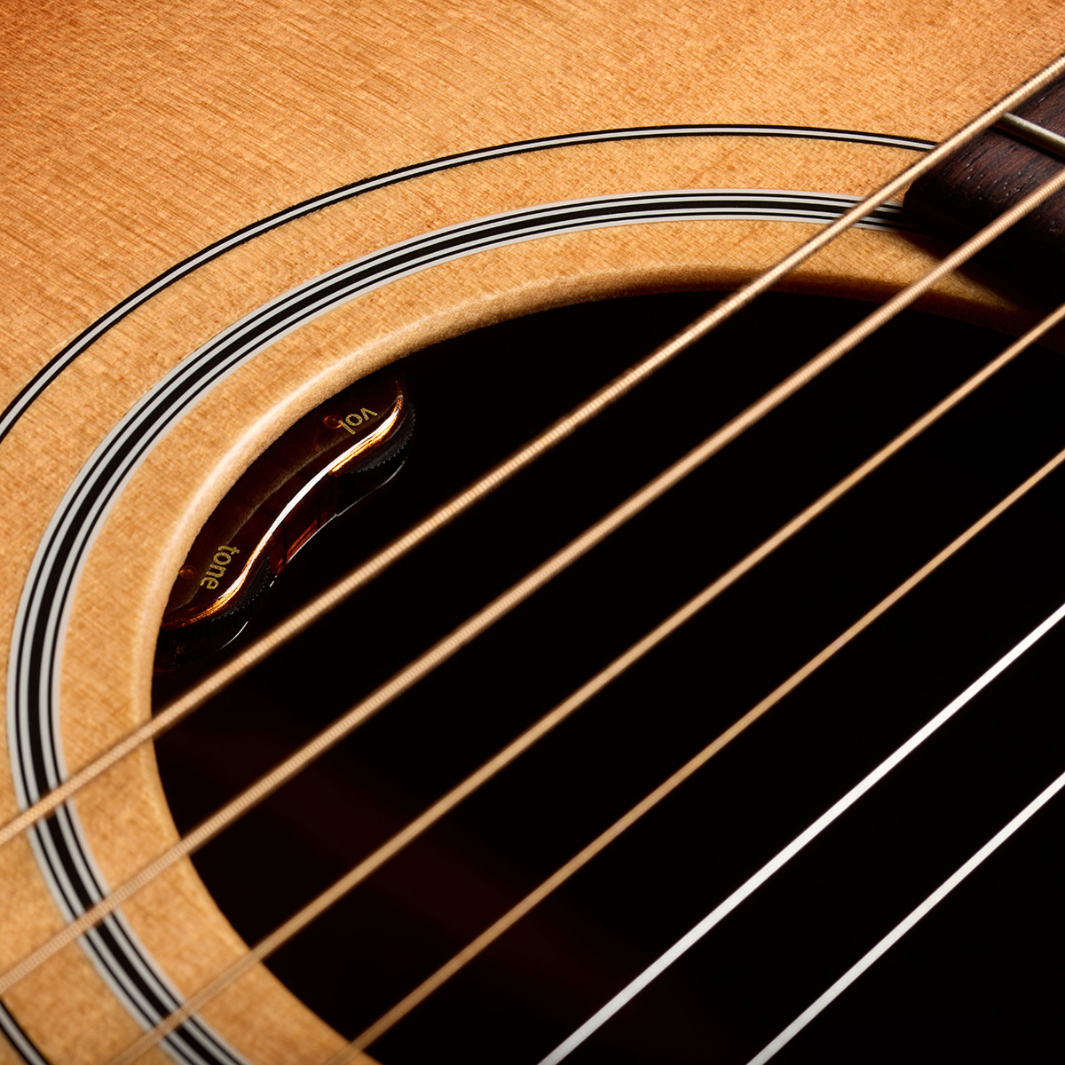 Close-up of F-40E Standard Pacific Sunset burst soundhole showcasing the L.R. Baggs Element VTC pickup system thumb