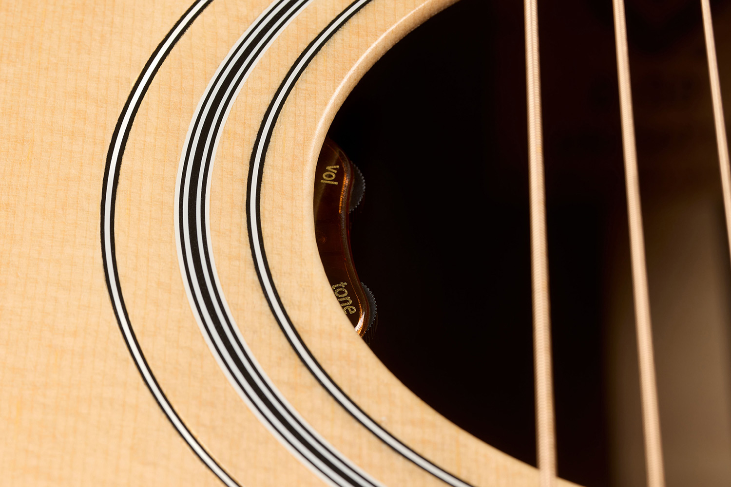 Close-up D-50E Standard Natural soundhole showcasing L.R. Baggs Element VTC pickup system