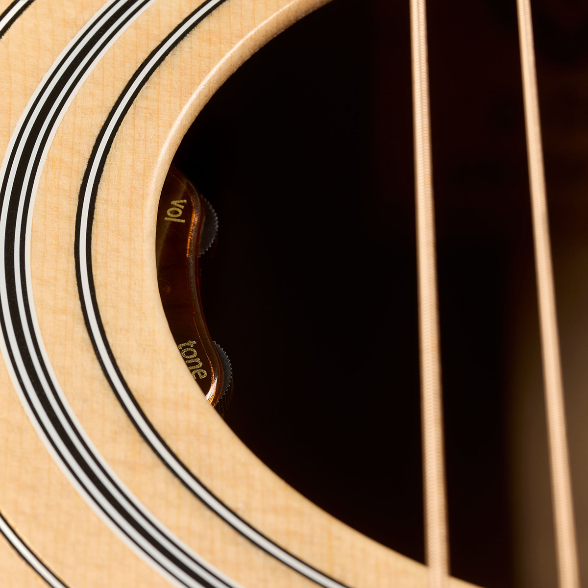 Close-up D-50E Standard Natural soundhole showcasing L.R. Baggs Element VTC pickup system thumb