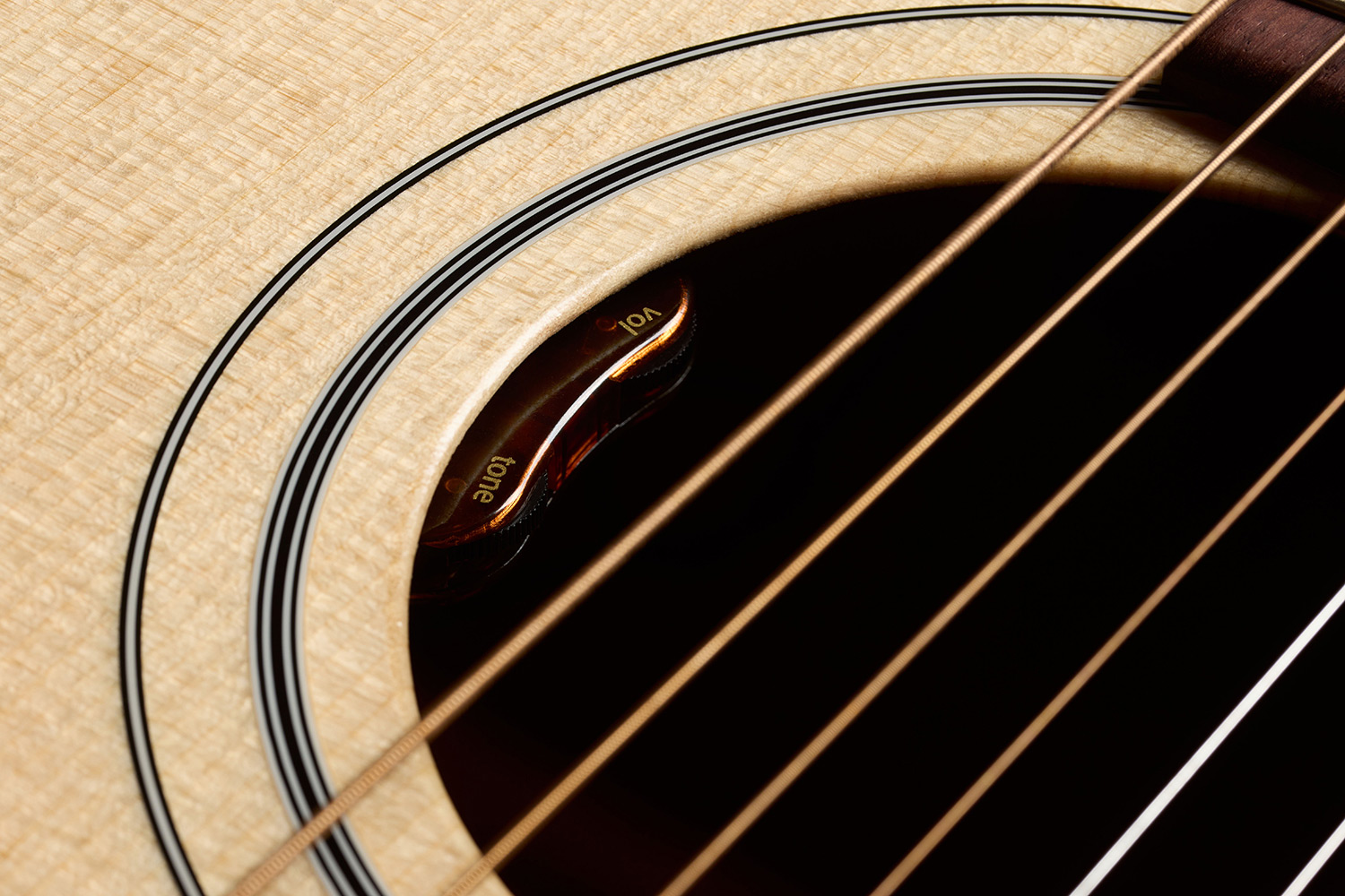 Close-up of F-40E Standard Natural soundhole showcasing the L.R. Baggs Element VTC pickup system