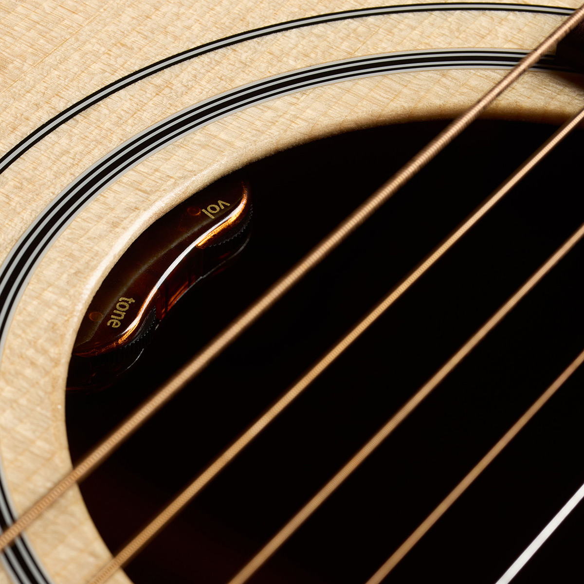 Close-up of F-40E Standard Natural soundhole showcasing the L.R. Baggs Element VTC pickup system thumb