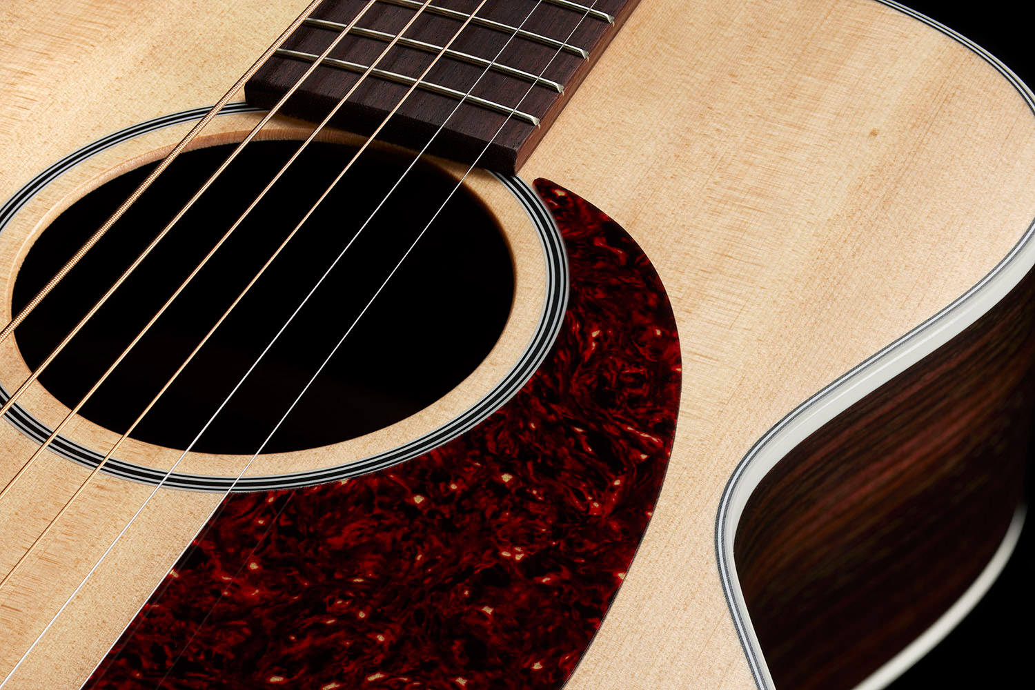 Close-up of M-50 Standard Natural soundhole
