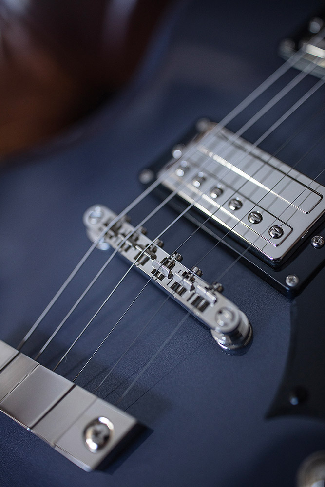 Close-up of Polara Deluxe Canyon Dusk bridge and pickup