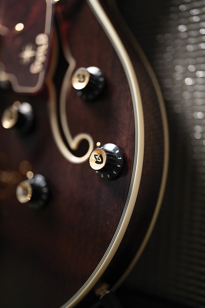 Close-up of the control knobs on a Starfire Custom DC GVT GH, showing the body binding and F-hole in the background.