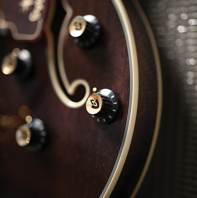 Close-up of the control knobs on a Starfire Custom DC GVT GH, showing the body binding and F-hole in the background.